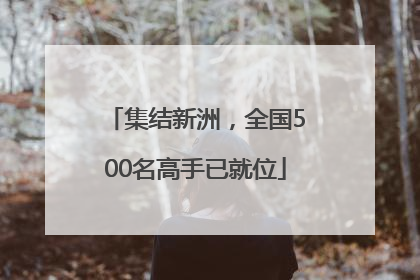 集结新洲，全国500名高手已就位